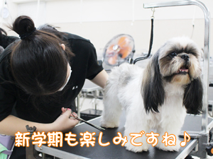 スキルアッププログラム、ラストスパート！